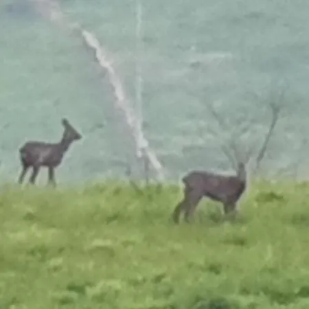 Casa Vacacional Mirador De San Vicente בית נופש *