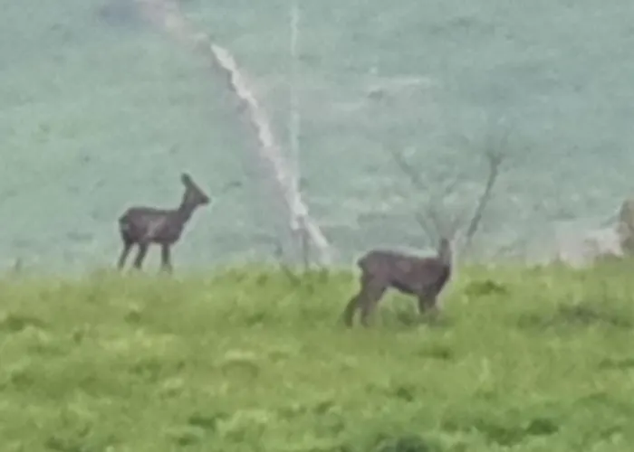Casa Vacacional Mirador De San Vicente בית נופש *