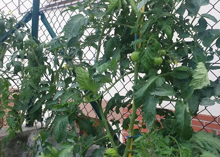 Casa Vacacional Mirador De San Vicente בית נופש